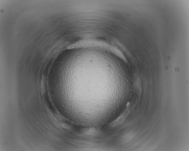 X0000076420074200610202230