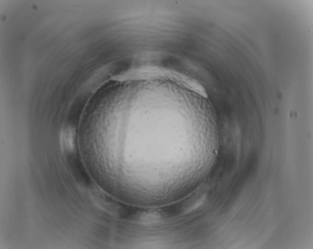 X0000076420075200610202230