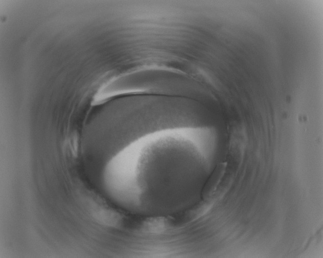 X0000076420076200610202230