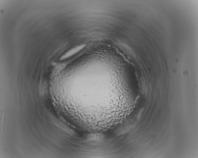 X0000076420077200610202230