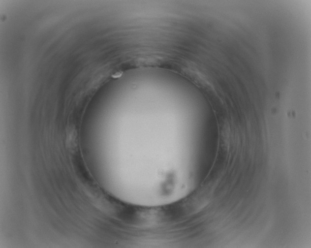 X0000076420079200610202230