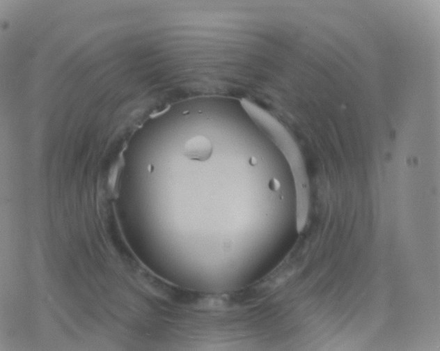 X0000076420080200610202230