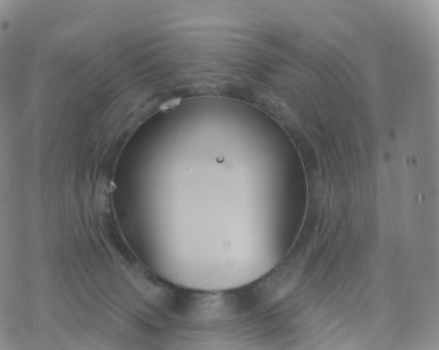 X0000076420083200610202230