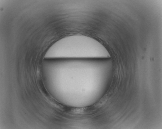 X0000076420084200610202230