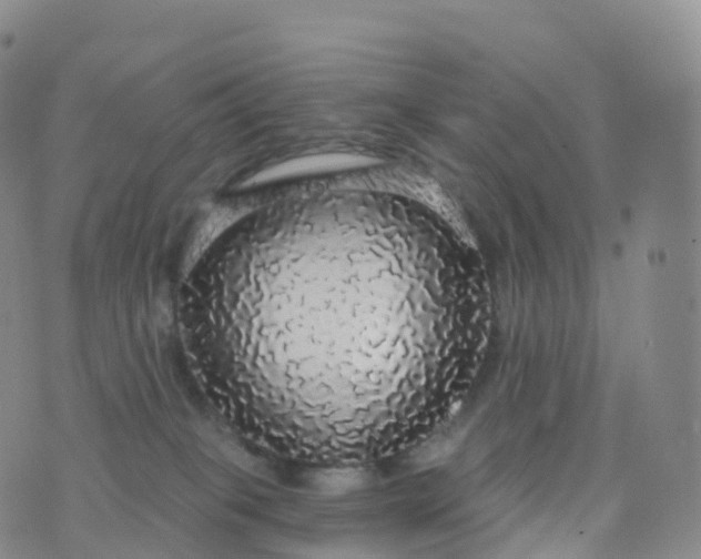 X0000076420085200610202230