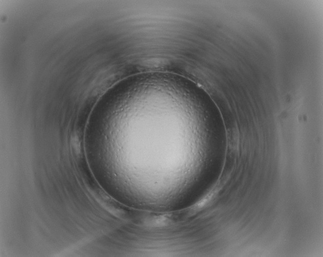 X0000076420086200610202230