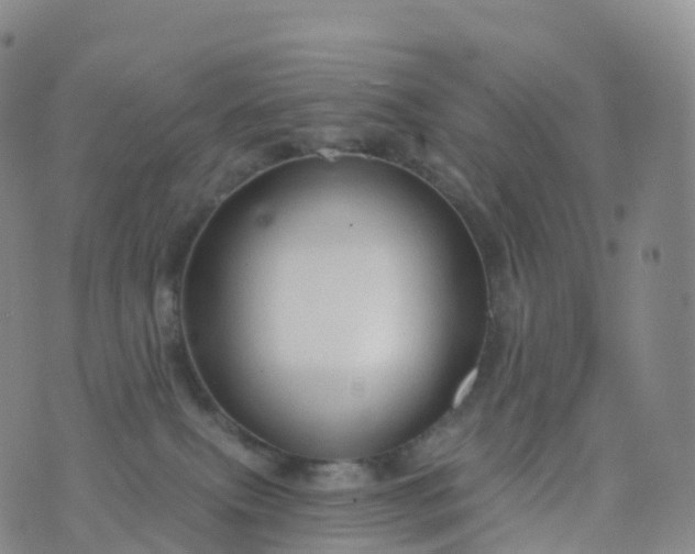 X0000076420087200610202230