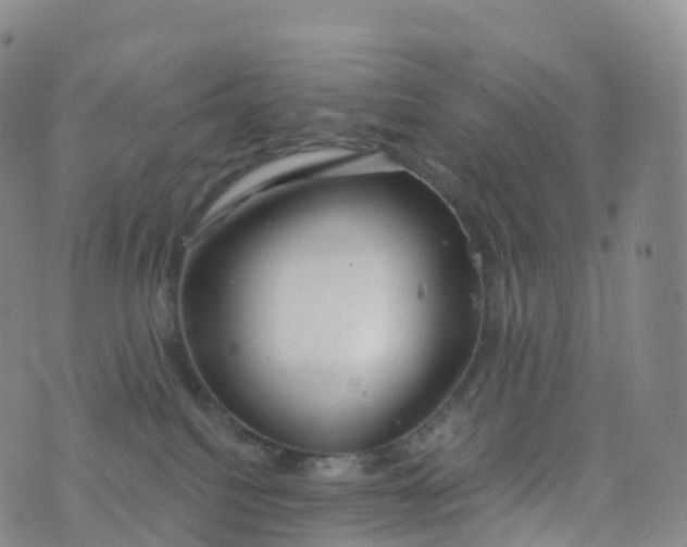 X0000076420088200610202231