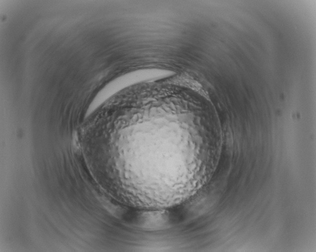 X0000076420089200610202231