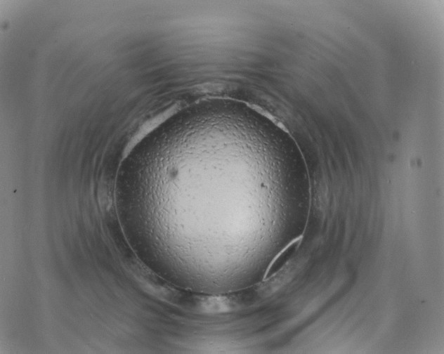 X0000076420091200610202231