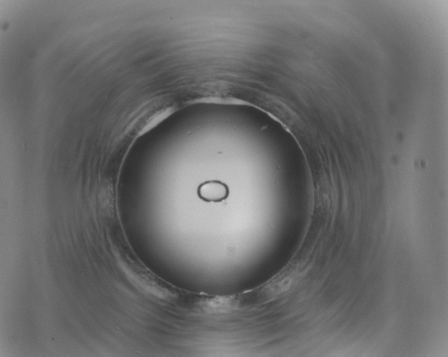 X0000076420092200610202231