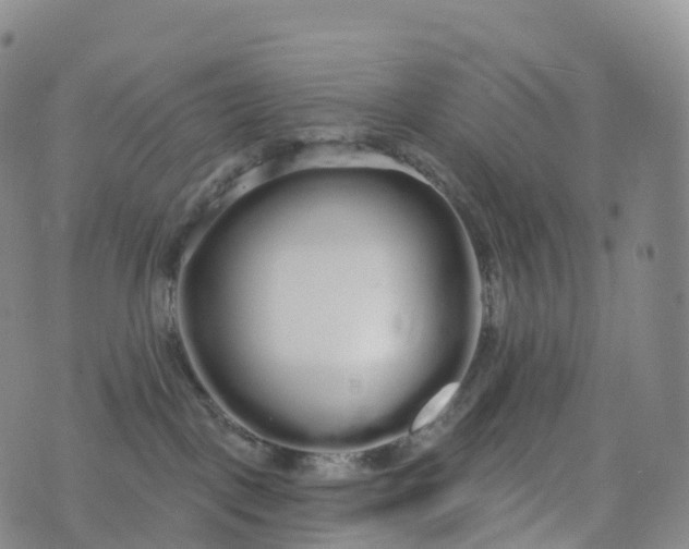 X0000076420093200610202231