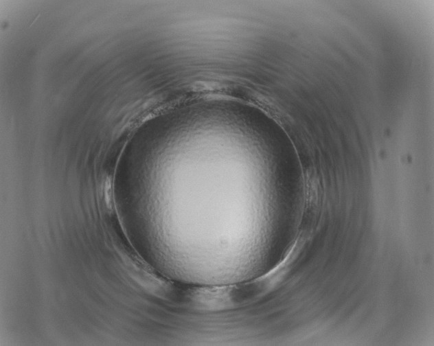 X0000076420094200610202231