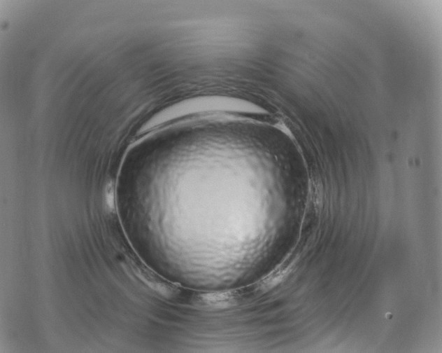 X0000076420095200610202231