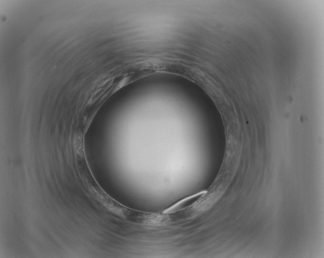 X0000076420096200610202231