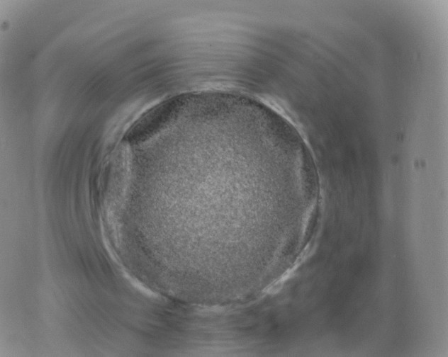 X0000076420097200610202230