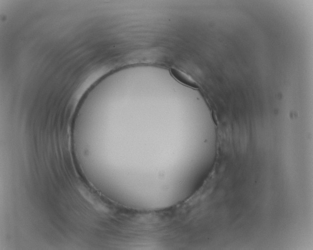 X0000076420100200610202230