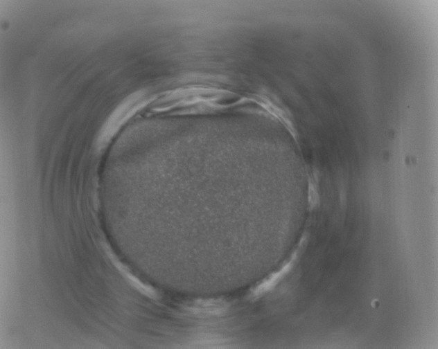 X0000076420101200610202230