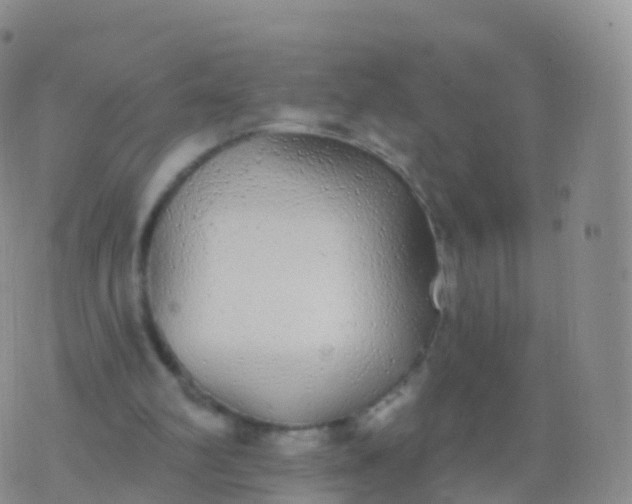 X0000076420102200610202230