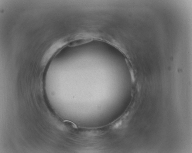 X0000076420103200610202230