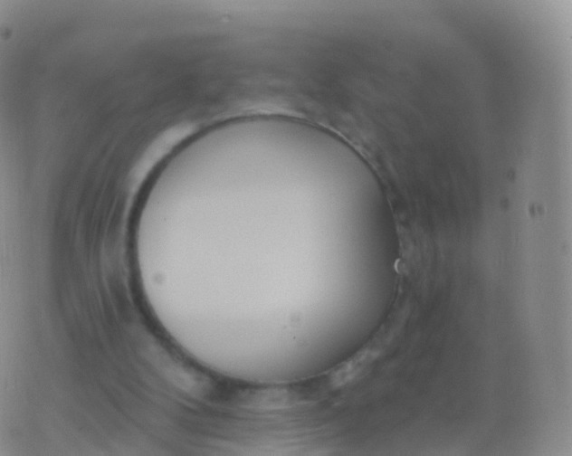 X0000076420104200610202230