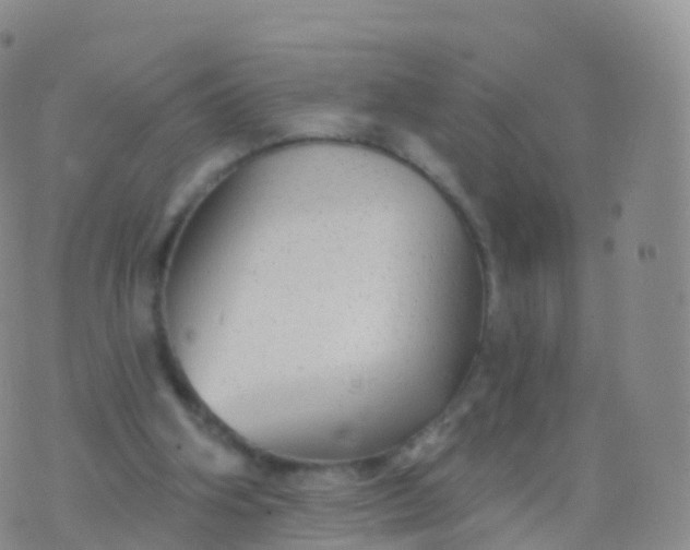 X0000076420106200610202230