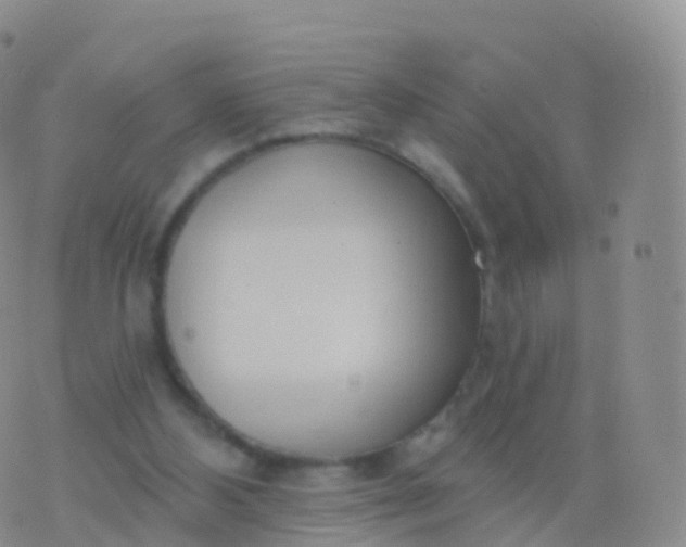 X0000076420108200610202230