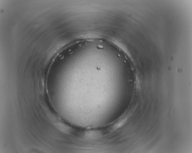 X0000076420109200610202230