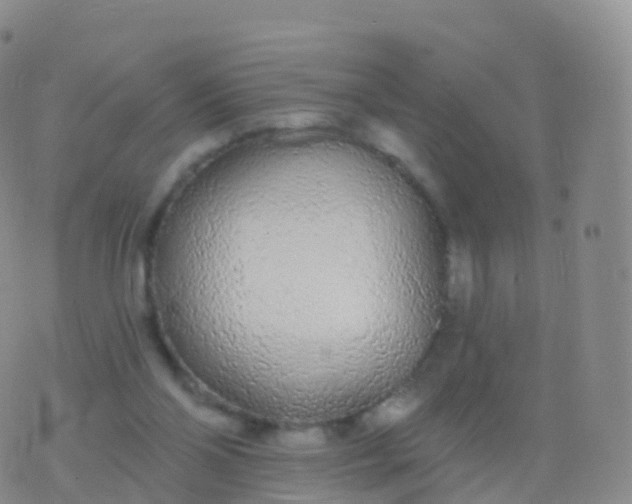 X0000076420110200610202230