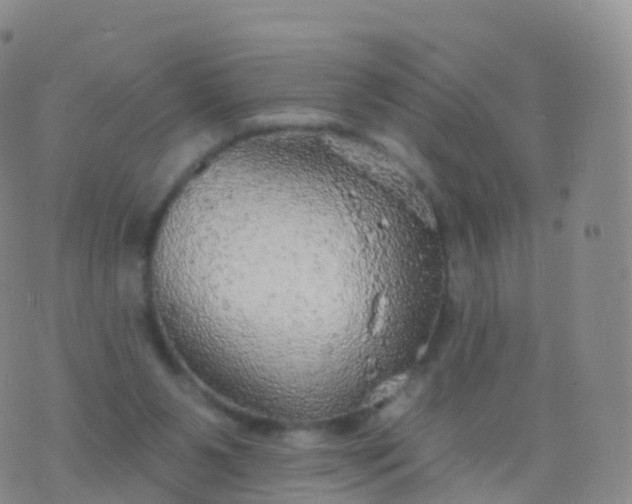 X0000076420111200610202230