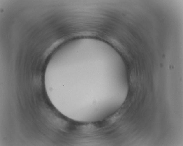 X0000076420112200610202230