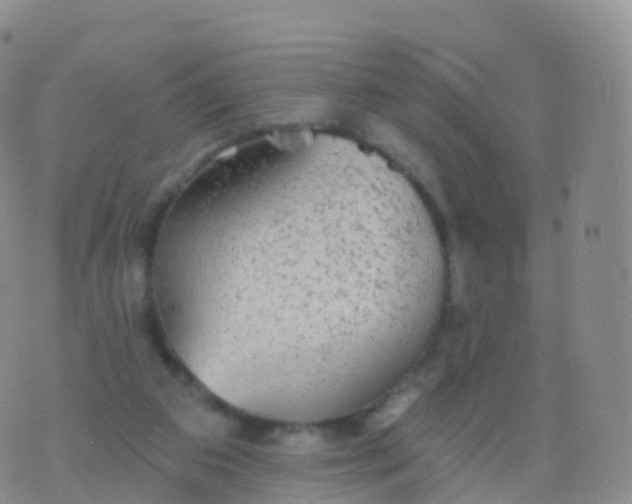 X0000076420113200610202230