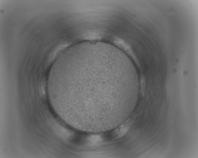 X0000076420114200610202230