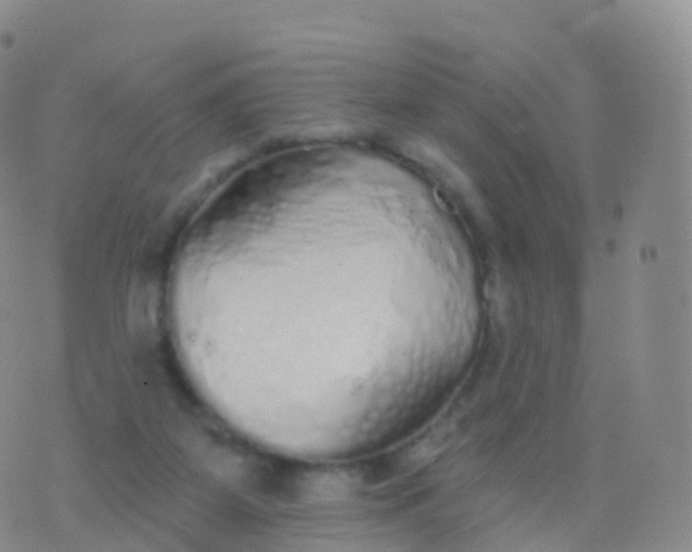 X0000076420115200610202230