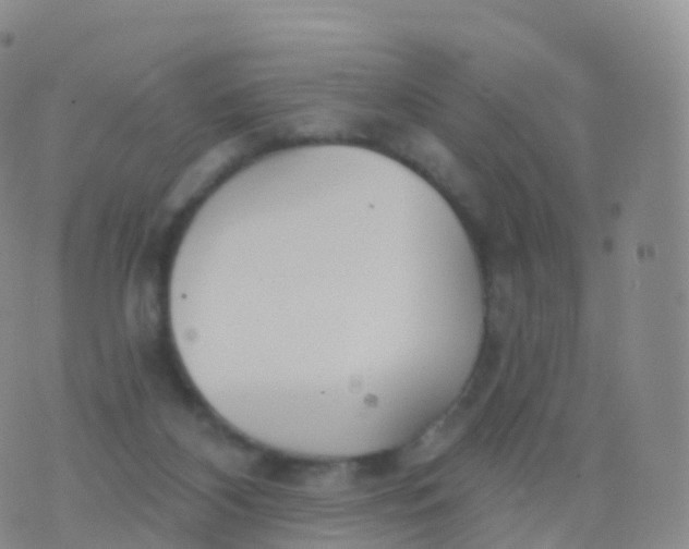 X0000076420116200610202230