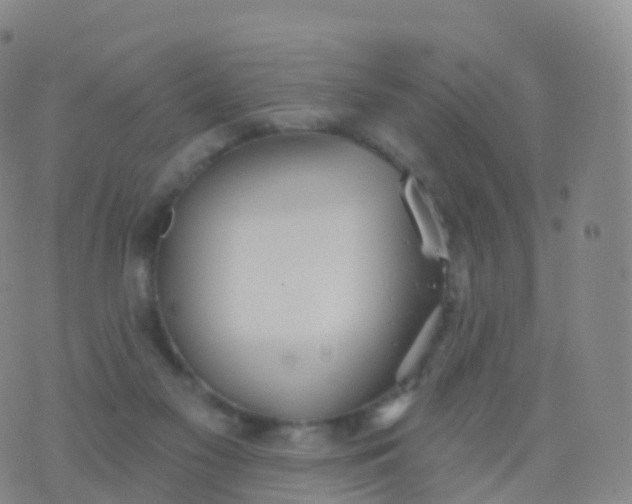 X0000076420117200610202230