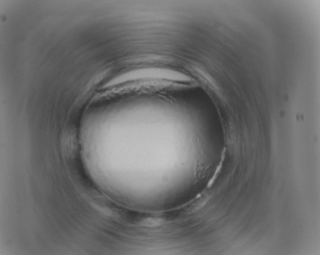 X0000076420119200610202230