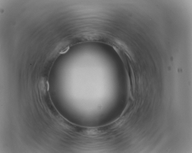 X0000076420121200610202229