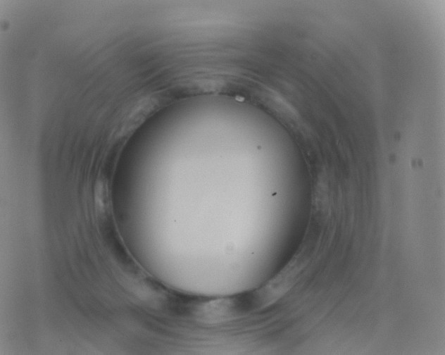 X0000076420122200610202229