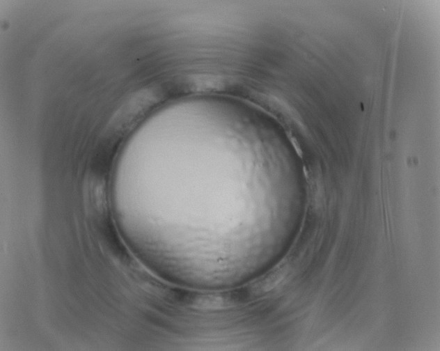 X0000076420123200610202229