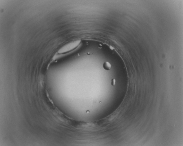 X0000076420125200610202229