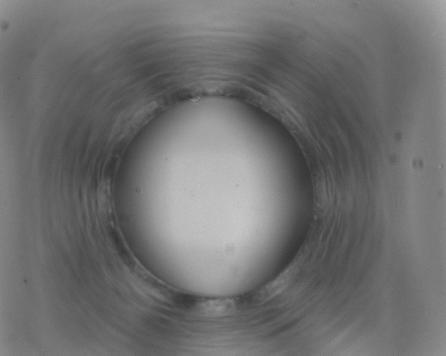 X0000076420126200610202229