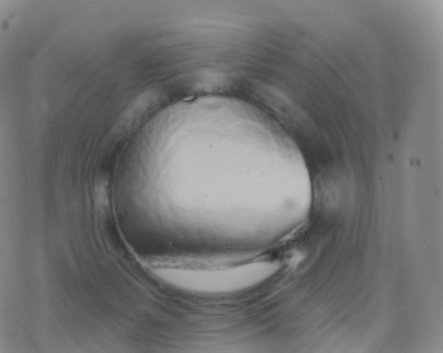 X0000076420127200610202229