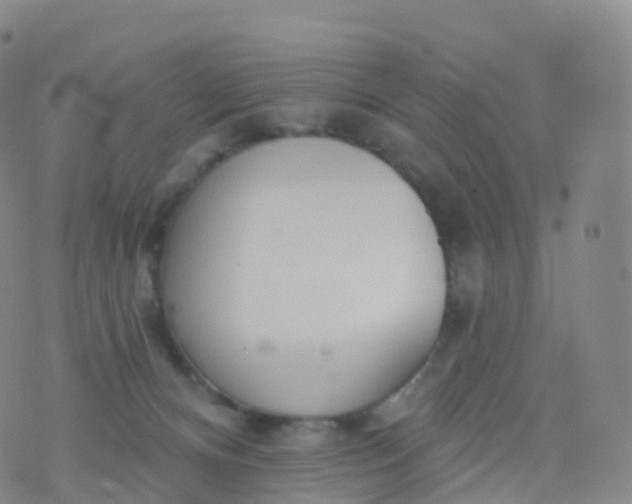 X0000076420128200610202229