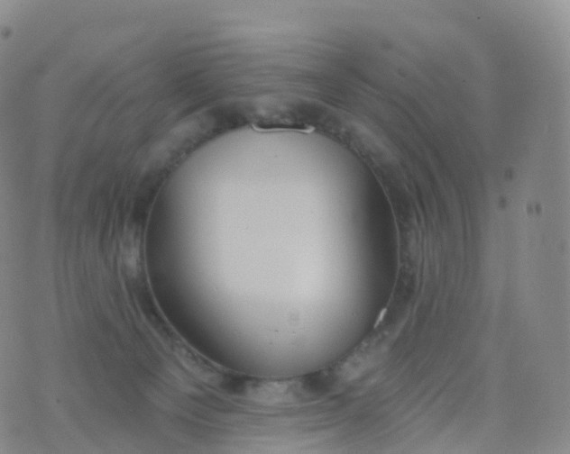 X0000076420129200610202229