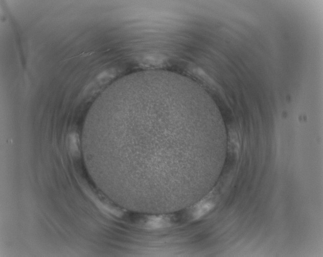 X0000076420130200610202229