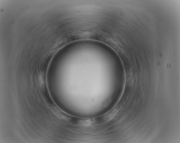 X0000076420131200610202229