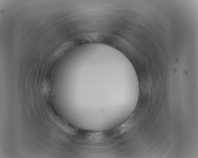 X0000076420132200610202229