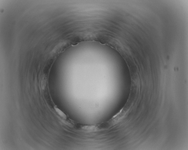 X0000076420133200610202229