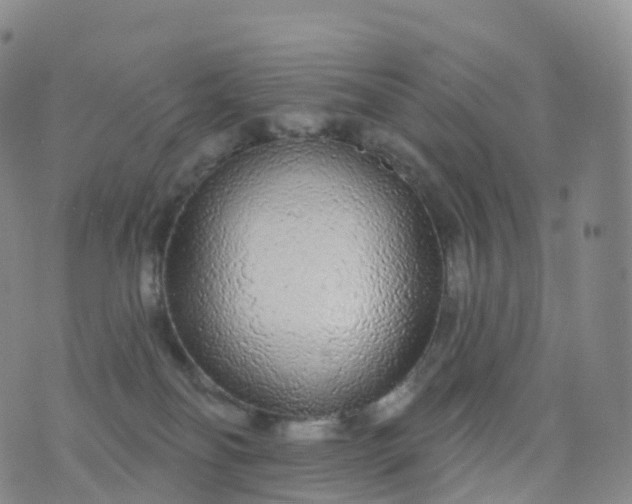 X0000076420134200610202229